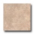 Incepa Venezia 18 X 18 Sand Tile  and  Stone