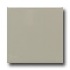 Daltile Keystones Unglazed Mosaic 1 X 1 Architectural Gray Tile