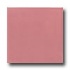 Daltile Keystones Unglazed Mosaic 1 X 1 Carnation Pink Tile & St