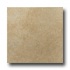 Roca Gotica 13 X 13 Beige Tile & Stone