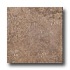 Ragno Petra 13 X 13 Colurnus Tile & Stone