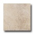 Roca Vernon 12 X 12 Gris Tile  and  Stone