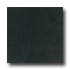 Daltile Granite 18 X 18 Galaxy Black Tile  and  Stone