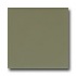 American Olean Matte 6 X 6 Matte Artichoke Tile & Stone