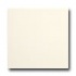 American Olean Matte 6 X 6 Matte Biscuit Tile & Stone