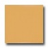 Daltile Keystones Permabrites Mosaic 2 X 2 Gloss Mustard Tile &